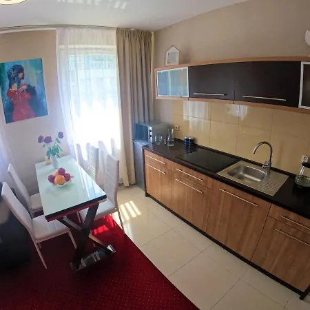 Lady In Red Kosciuszki 16 アパート *